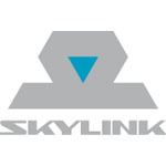   Skylink Simple     Qualcomm QSC1100