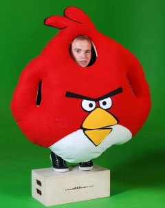 Angry Birds   ,  300    