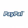 4     PayPal  2011 