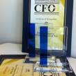     Russian CFO Awards - 2012