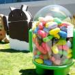   Google Android 4.1 Jelly Bean