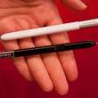  Samsung Galaxy Note 10.1:    S-Pen
