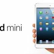 Apple      iPad mini