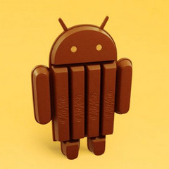  1   Android Jelly Bean  45%
