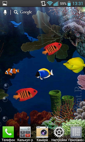   Aquarium:  