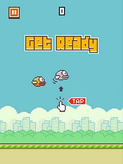  3  Flappy Bird -    