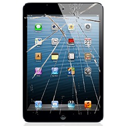 iPad Mini -    