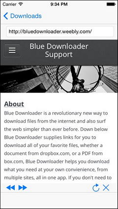  2  - Blue Downloader   App Store,  