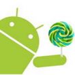   :     Android 5.0 Lollipop