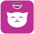 Обзор приложение СаМЯУчитель для Android: о чем говорят кошки