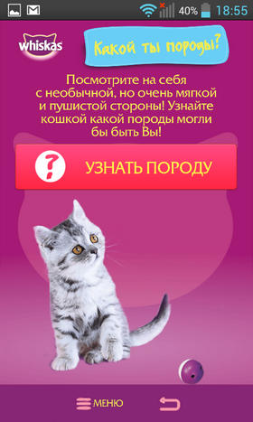 Обзор приложения СаМЯУчитель для Android: о чем говорят кошки
