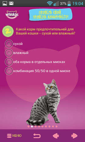 Обзор приложения СаМЯУчитель для Android: о чем говорят кошки