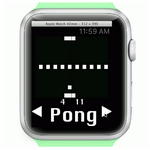 Apple Watch          SDK