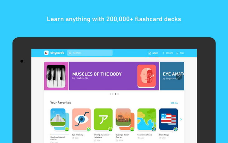  2   Tinycards  Duolingo       Android