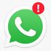 WhatsApp будет тщательнее обращаться с эротическими фото; критика мессенджера 